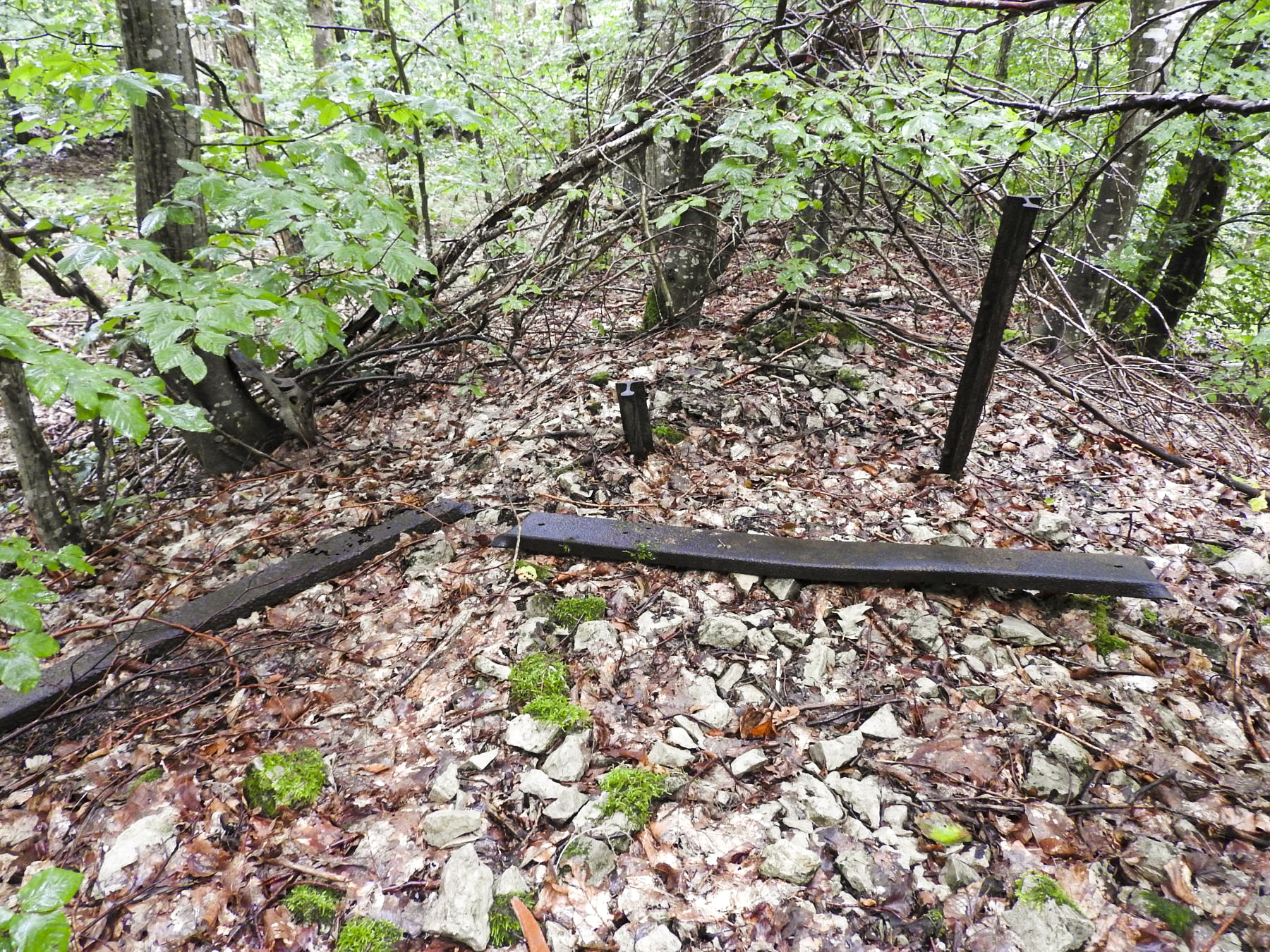 Ligne Maginot - LEGERET - (Dépôt de Munitions) - Le remblai et des vestiges de la voie de 60 de desserte des dépôts du génie. - STENGER Mathieu