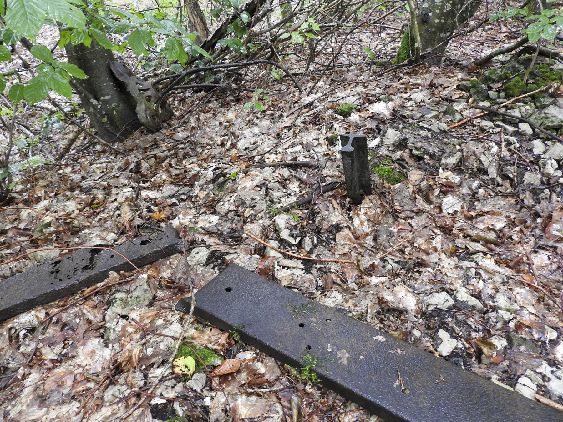 Ligne Maginot - LEGERET - (Dépôt de Munitions) - Le remblai et des vestiges de la voie de 60 de desserte des dépôts du génie. - STENGER Mathieu