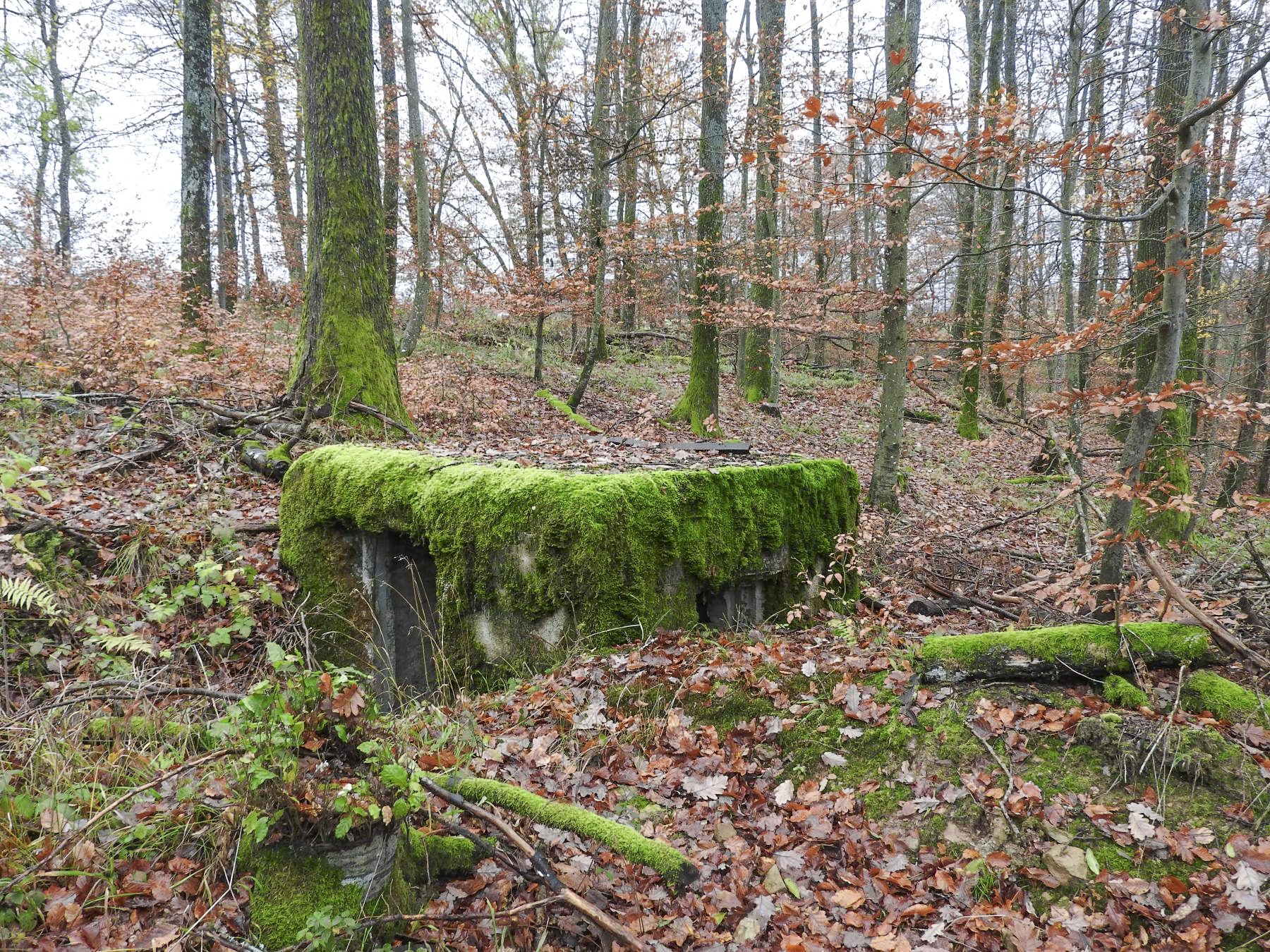 Ligne Maginot - LEGERET EST - (Blockhaus pour arme infanterie) - La vue arrière du blockhaus. - STENGER Mathieu