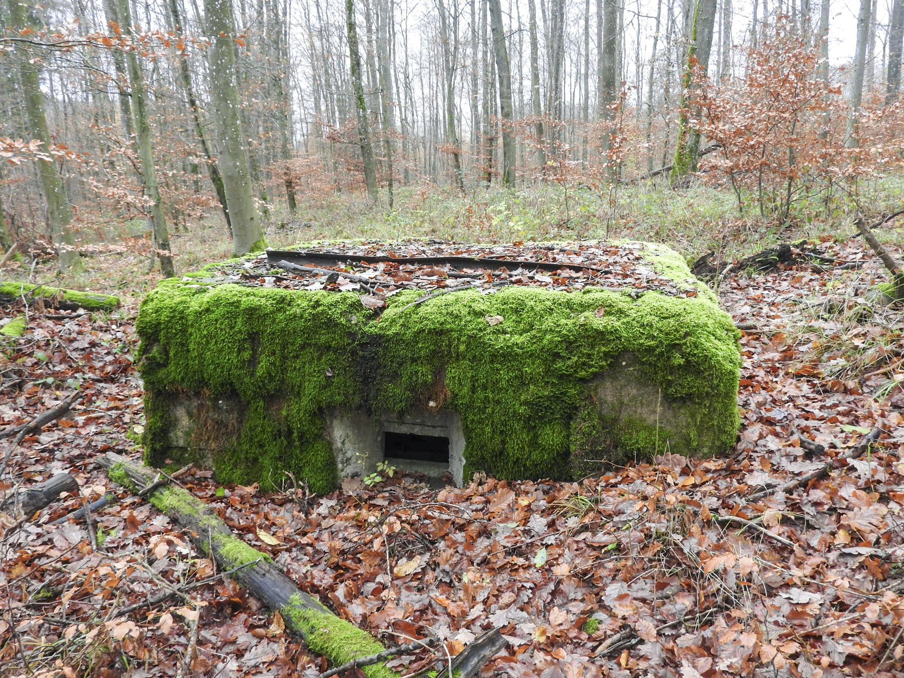 Ligne Maginot - LEGERET EST - (Blockhaus pour arme infanterie) - Le créneau frontal. - STENGER Mathieu
