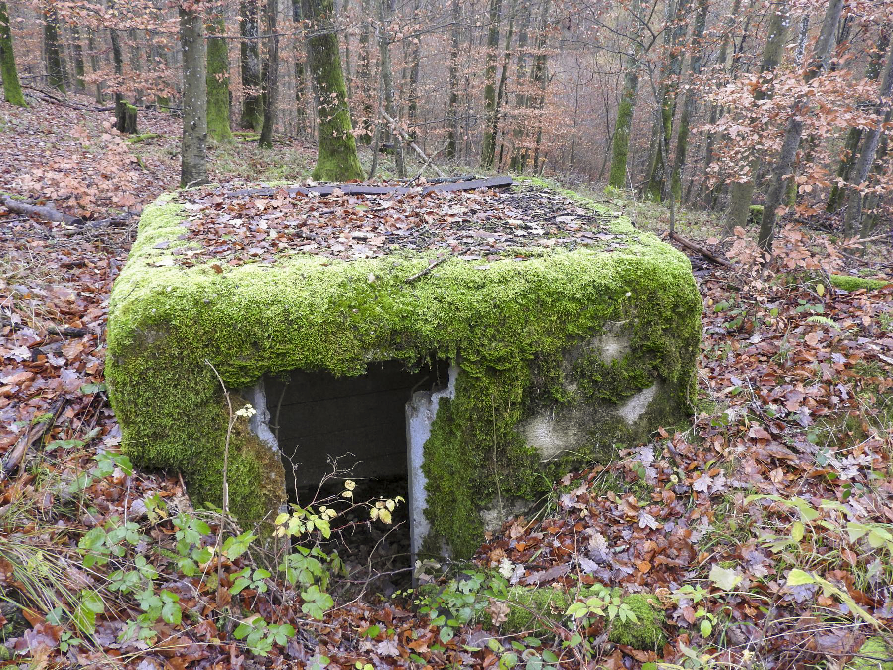 Ligne Maginot - LEGERET EST - (Blockhaus pour arme infanterie) - L'entrée du blockhaus. - STENGER Mathieu
