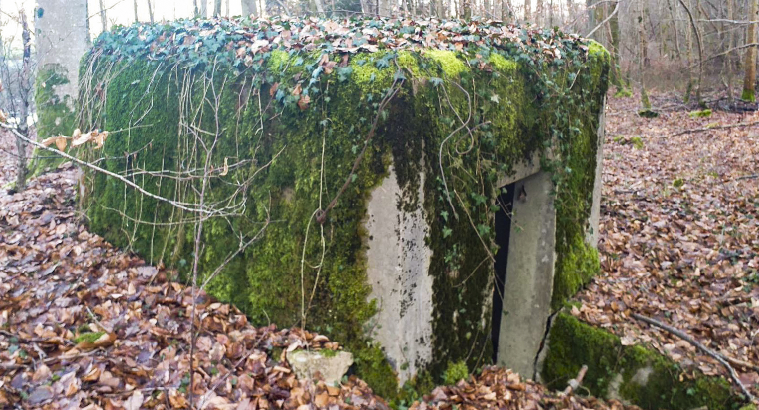 Ligne Maginot - MITTENWALD 5 - (Blockhaus pour arme infanterie) -  - Tigron1234