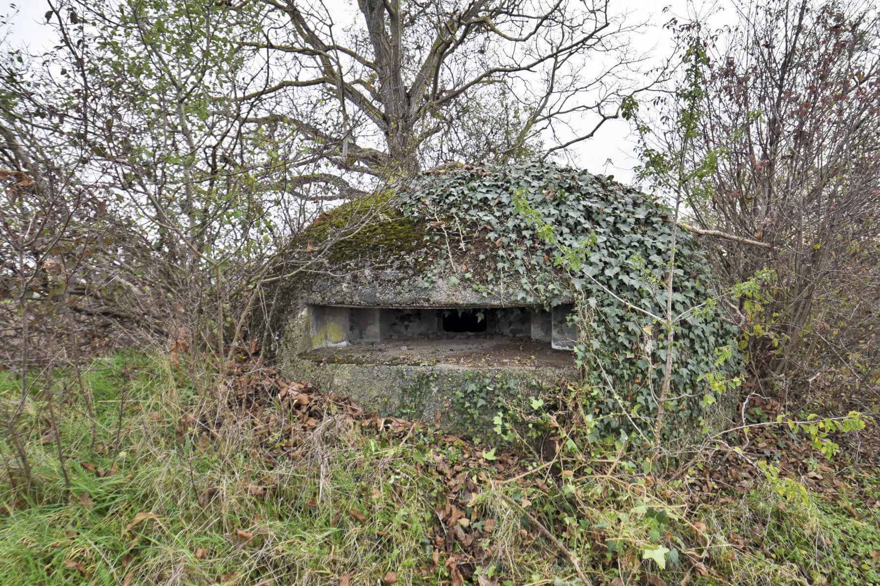 Ligne Maginot - 41C/3 - BLEINFELD SUD - (Blockhaus pour arme infanterie) -  - Ludovic KNAPP