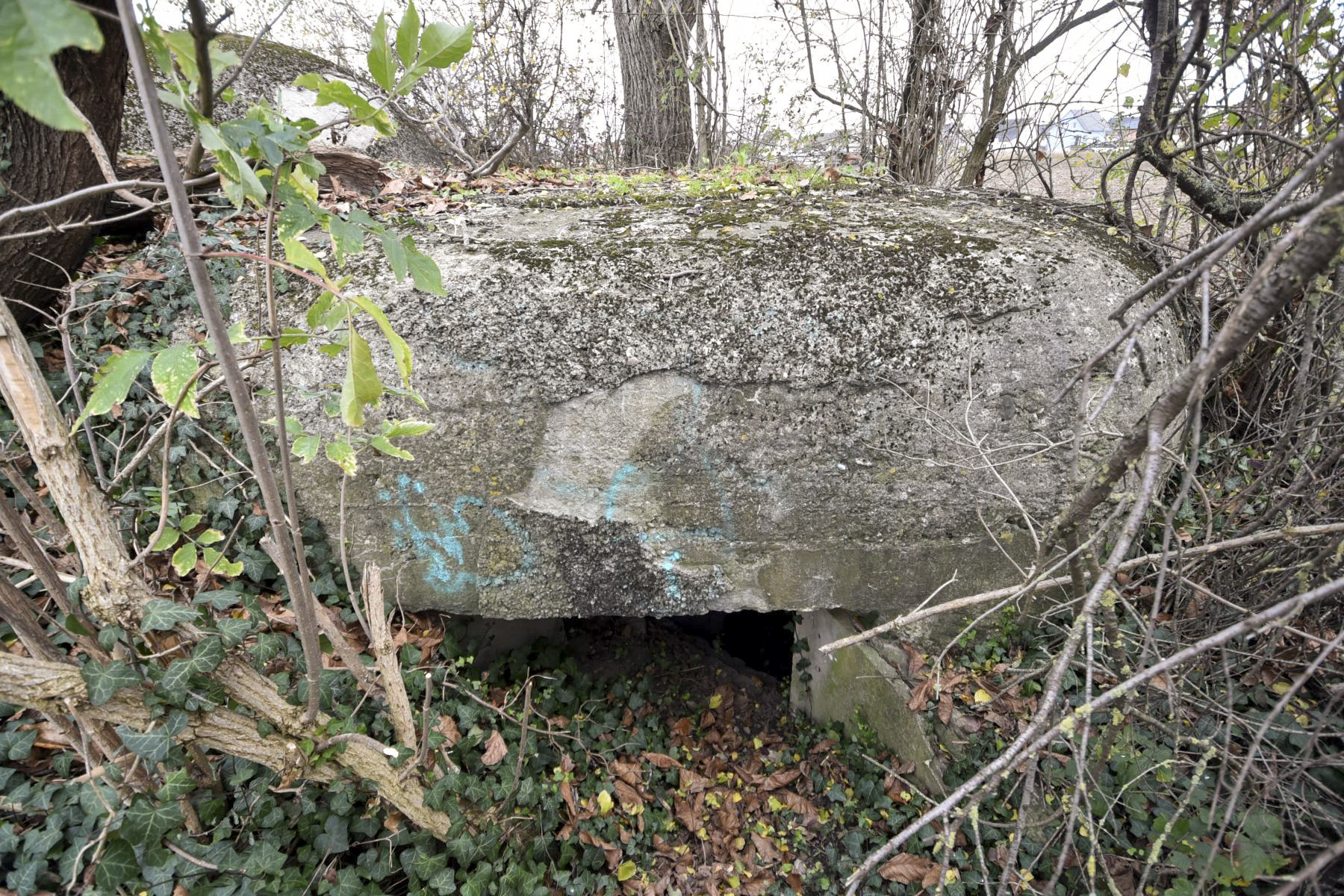 Ligne Maginot - 41C/3 - BLEINFELD SUD - (Blockhaus pour arme infanterie) -  - Ludovic KNAPP