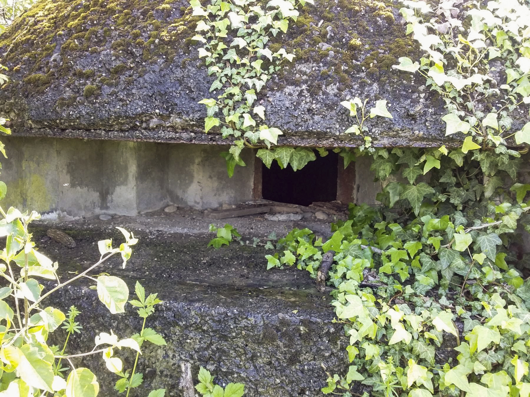 Ligne Maginot - 41C/3 - BLEINFELD SUD - (Blockhaus pour arme infanterie) - Créneau