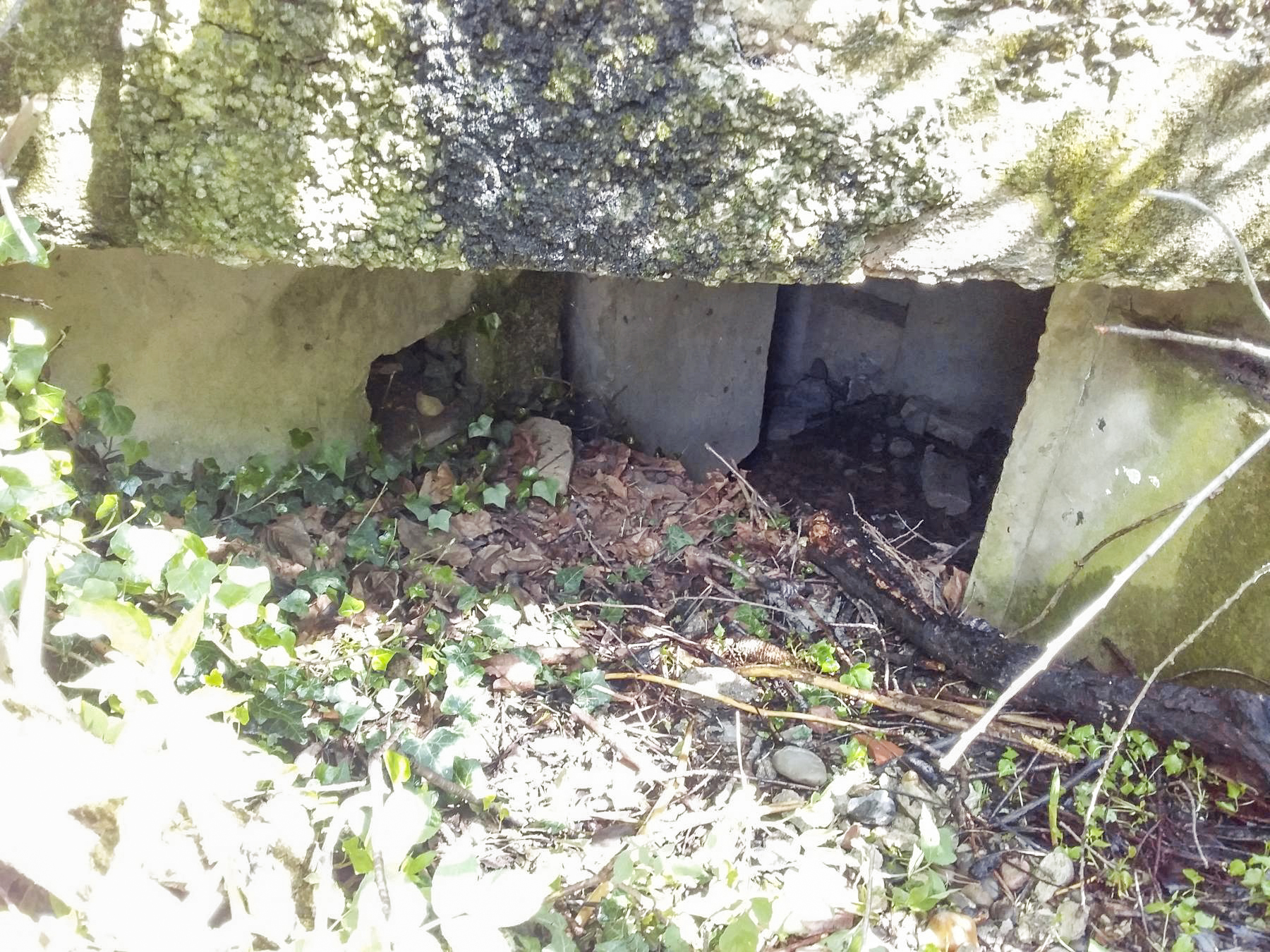 Ligne Maginot - 41C/3 - BLEINFELD SUD - (Blockhaus pour arme infanterie) - Entrée sud-ouest
