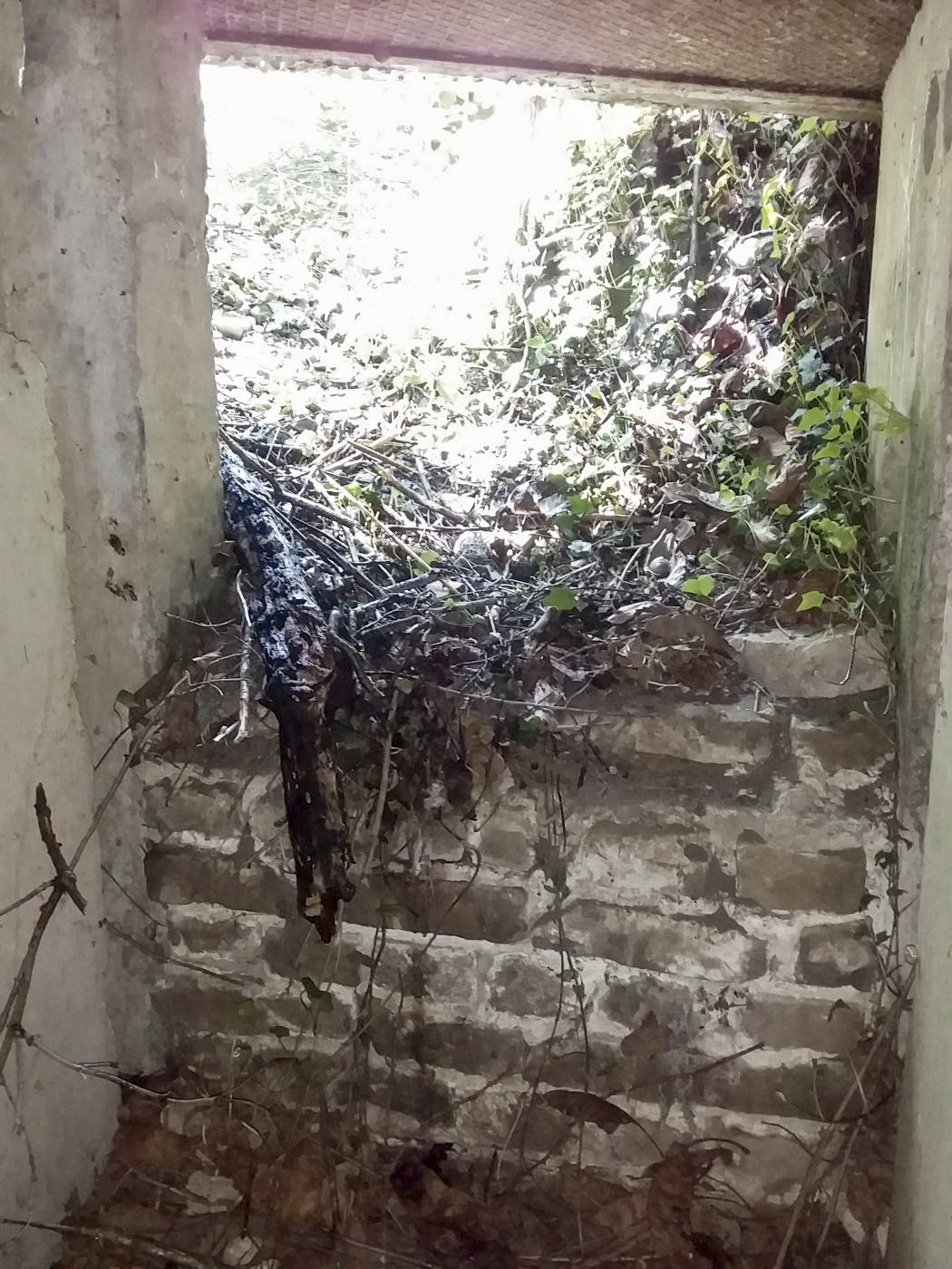 Ligne Maginot - 41C/3 - BLEINFELD SUD - (Blockhaus pour arme infanterie) - Vue de l intérieur vers l’entrée