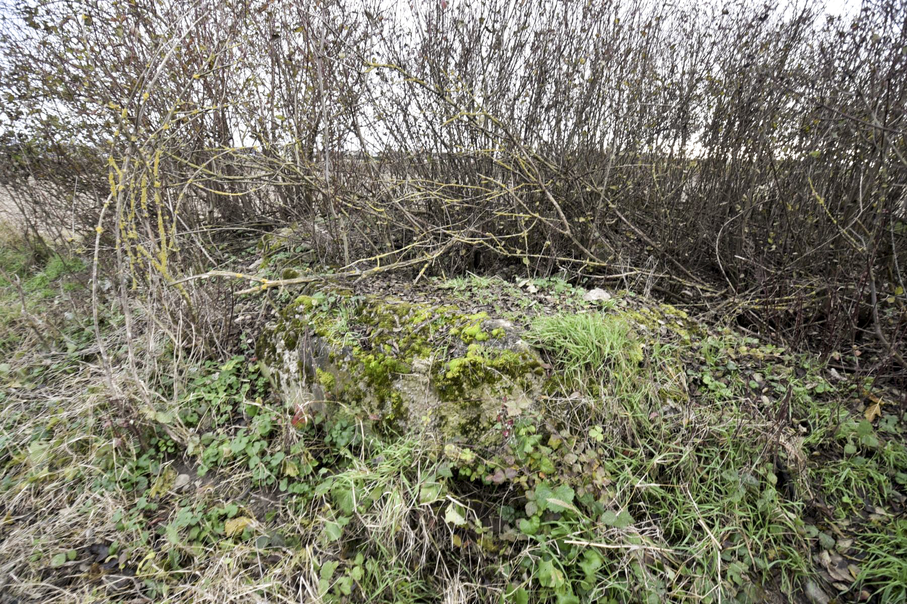 Ligne Maginot - 41B/3 - BLEINFELD NORD - (Blockhaus de type indéterminé) - Reste de béton et ferraille - Ludovic KNAPP
