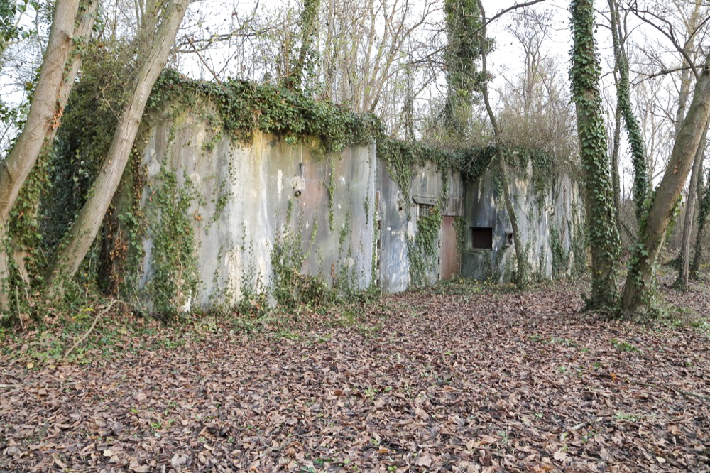 Ligne Maginot - 21/2 - CIMETIERE DES JUIFS - (Abri) - Vue générale