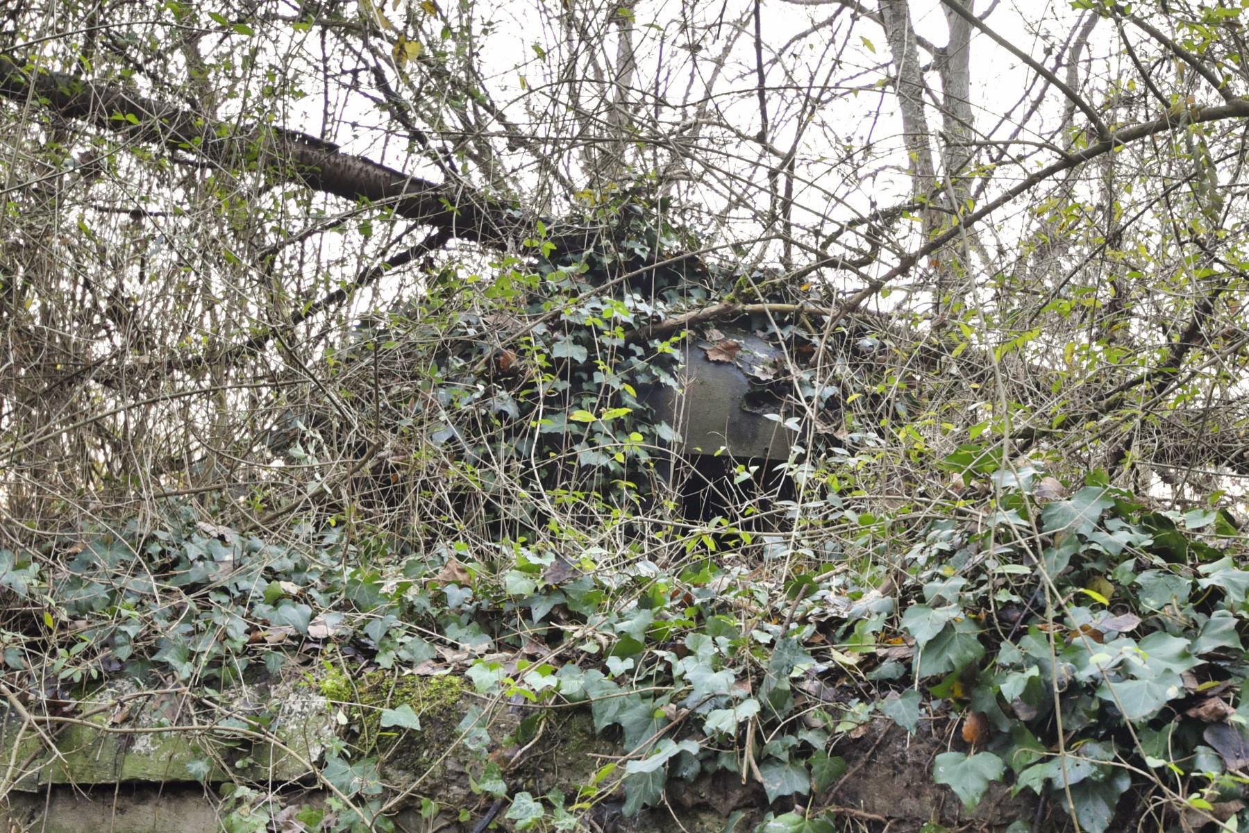 Ligne Maginot - 21/2 - CIMETIERE DES JUIFS - (Abri) -  - Ludovic KNAPP