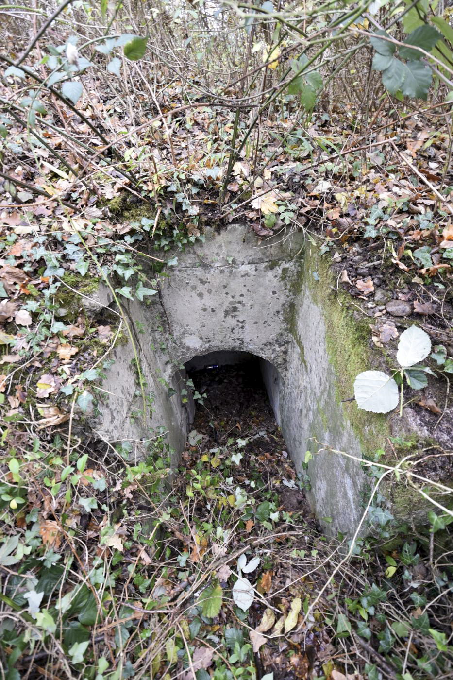 Ligne Maginot - WOLFGANTZEN NORD OUEST 4 - (Blockhaus pour arme infanterie) - Entrée de la coupole avec inscription 1935 date de la réalisation. - Ludovic KNAPP