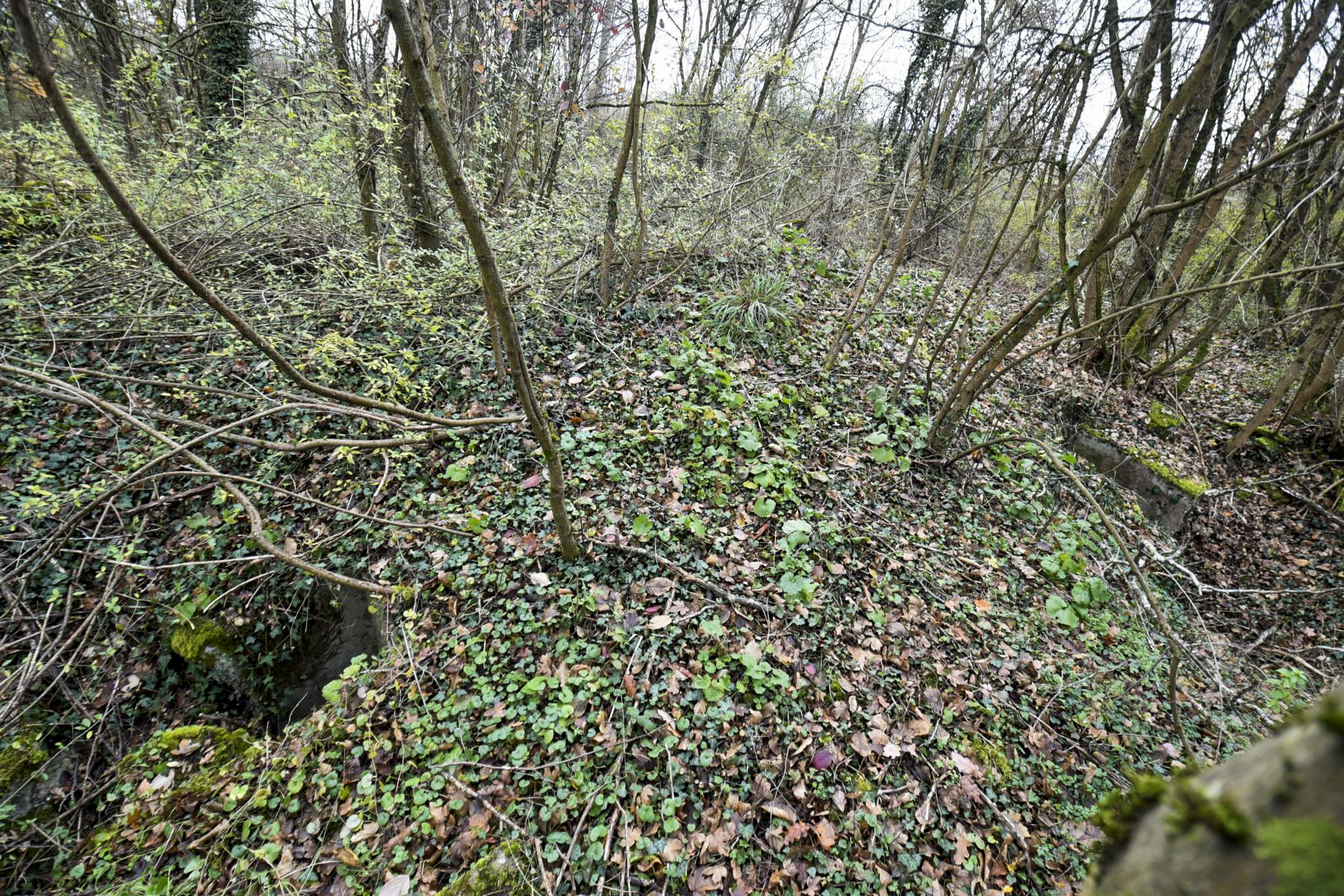 Ligne Maginot - WOLFGANTZEN NORD OUEST 3 - (Blockhaus pour arme infanterie) -  - Ludovic KNAPP