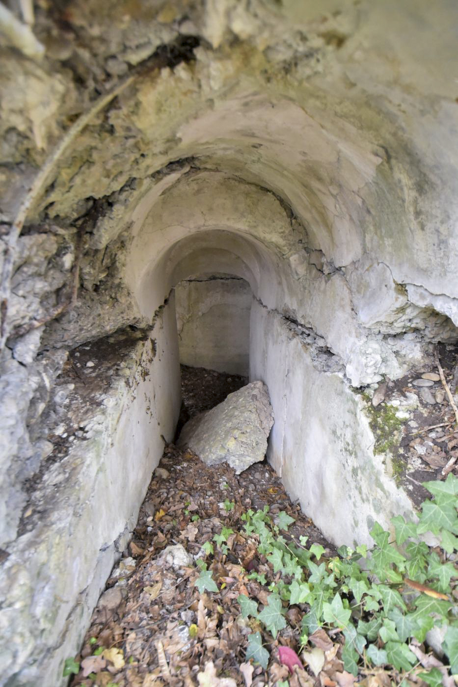 Ligne Maginot - WOLFGANTZEN NORD OUEST 3 - (Blockhaus pour arme infanterie) -  - Ludovic KNAPP