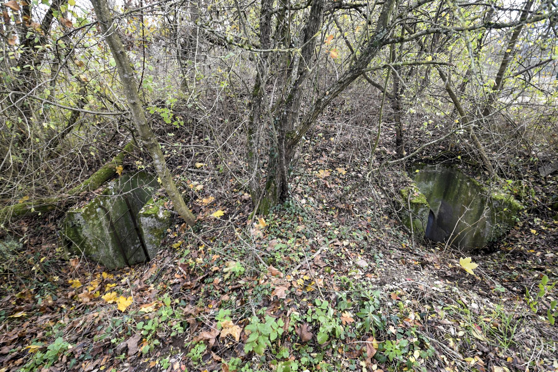 Ligne Maginot - WOLFGANTZEN NORD OUEST 1 - (Blockhaus pour arme infanterie) -  - Ludovic KNAPP