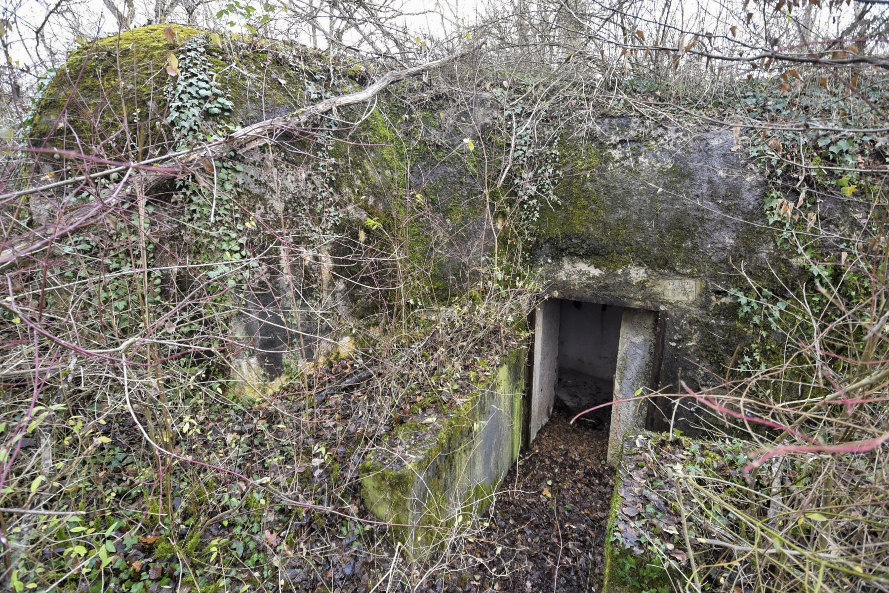 Ligne Maginot - KASTENWALD (QUARTIER NEUF-BRISACH - 1°BON 28° RIF) - (PC de Quartier) -  - Ludovic KNAPP