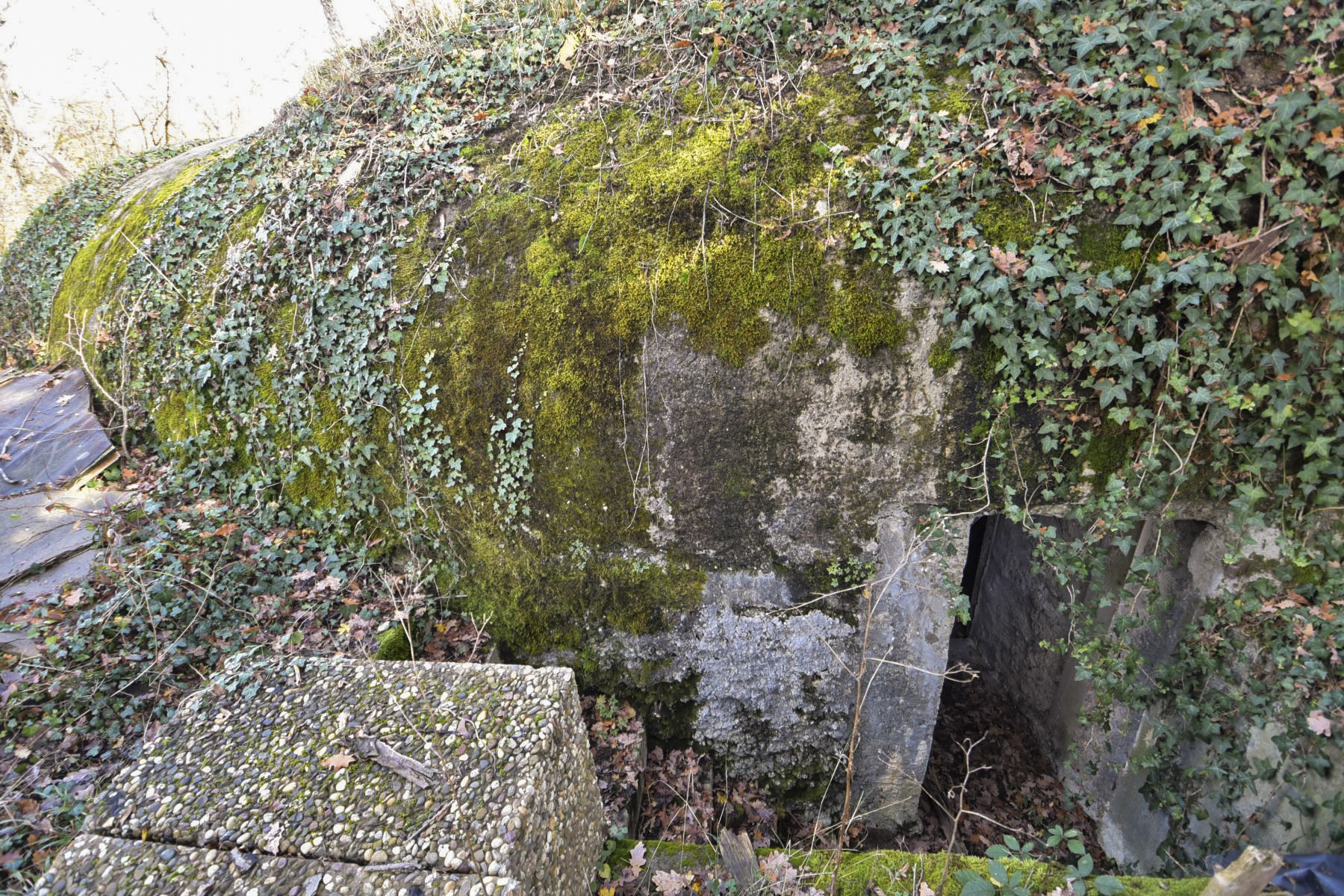 Ligne Maginot - KASTENWALD (QUARTIER NEUF-BRISACH - 1°BON 28° RIF) - (PC de Quartier) -  - Ludovic KNAPP