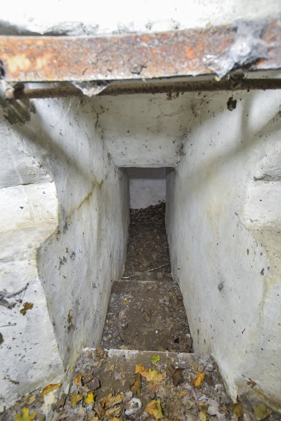 Ligne Maginot - OBERWALD EST CENTRE - (Blockhaus pour arme infanterie) -  - Ludovic KNAPP
