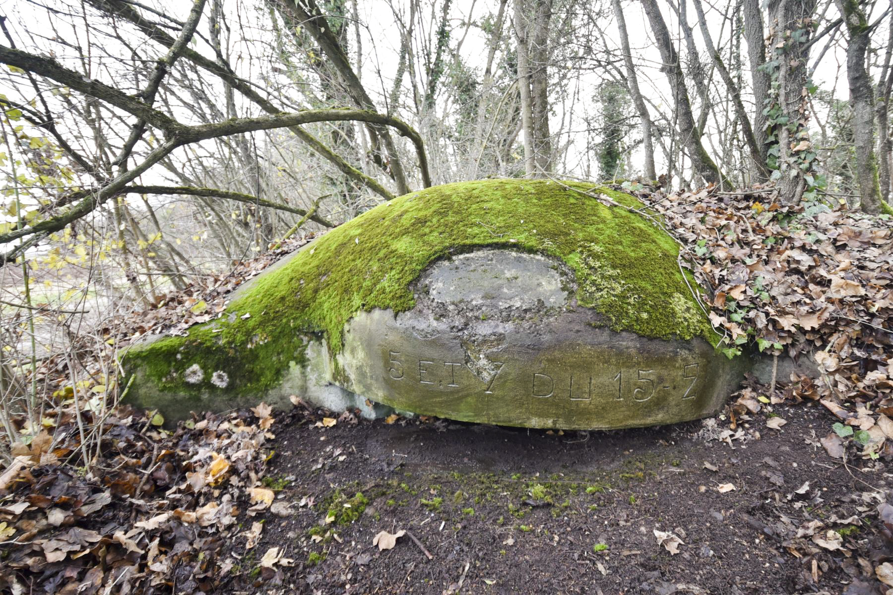 Ligne Maginot - OBERWALD EST CENTRE - (Blockhaus pour arme infanterie) -  - Ludovic KNAPP