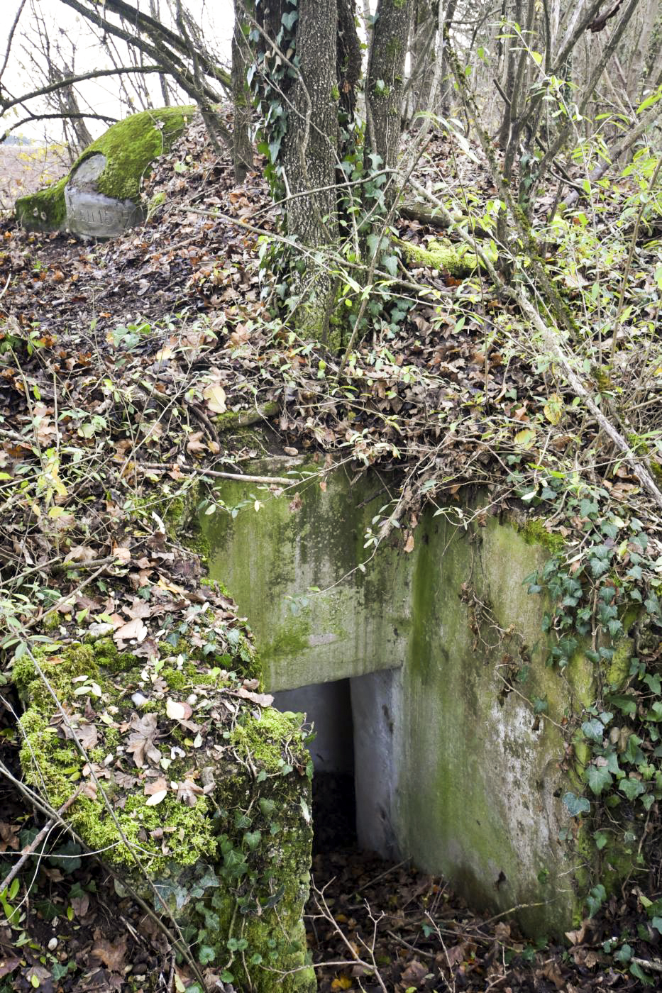 Ligne Maginot - OBERWALD EST CENTRE - (Blockhaus pour arme infanterie) -  - Ludovic KNAPP
