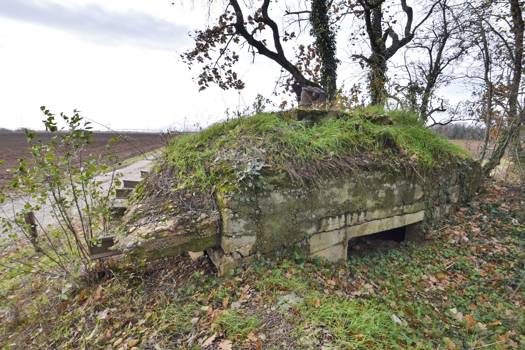 Ligne Maginot - OBERWALD SUD OUEST - (Observatoire d'infanterie) -  - Ludovic KNAPP