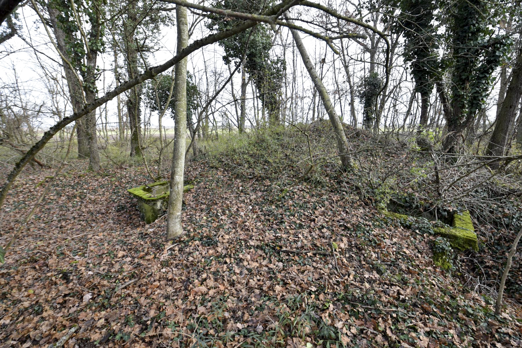 Ligne Maginot - OBERWALD EST SUD - (Blockhaus pour arme infanterie) - Les entrées - Ludovic KNAPP
