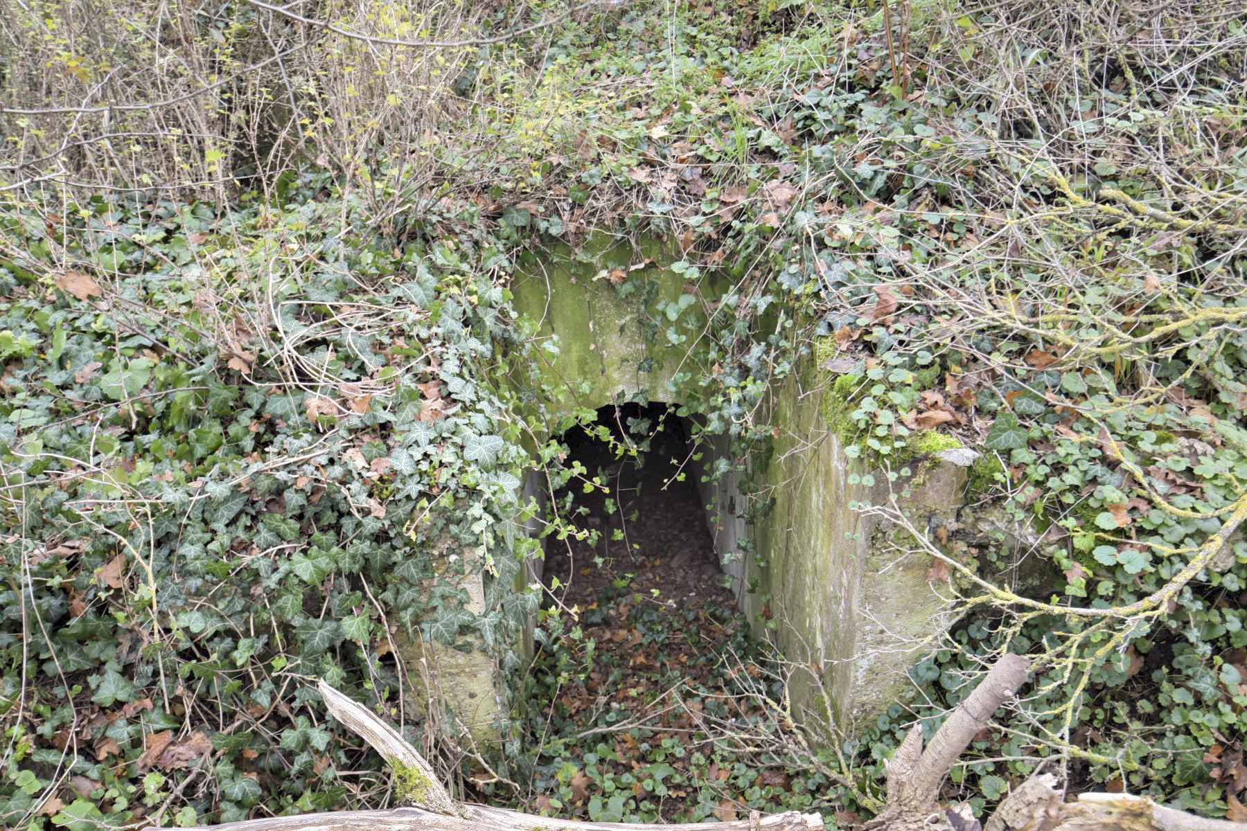 Ligne Maginot - OBERWALD SUD EST - (Blockhaus pour arme infanterie) -  - Ludovic KNAPP