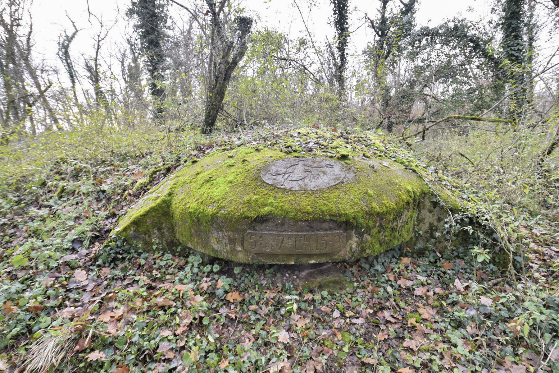 Ligne Maginot - OBERWALD SUD NORD-EST - (Blockhaus pour arme infanterie) -  - Ludovic KNAPP