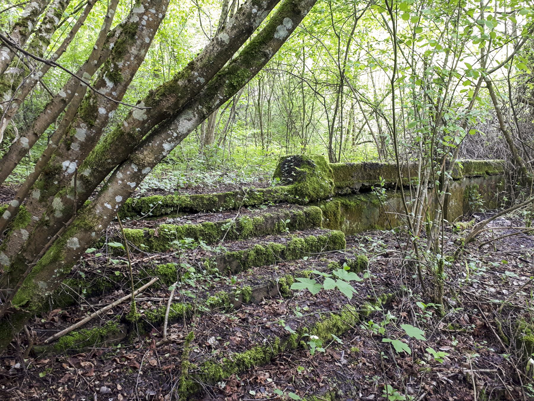 Ligne Maginot - LEMBACH - (Camp de sureté) - Fondation d'un baraquement léger - Gregory Fuchs