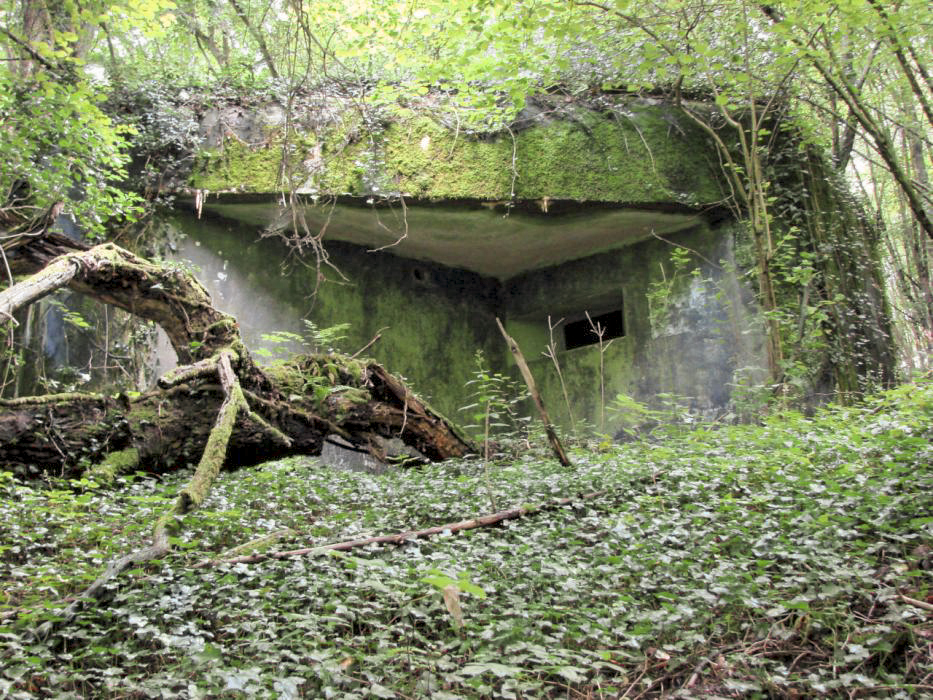 Ligne Maginot - CB2 - (Blockhaus pour canon) - Façade arrière