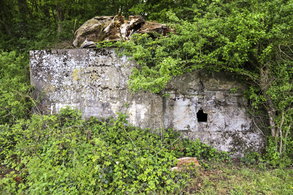 Ligne Maginot - CB431 - KLOSTERBUSCH 3 - (Blockhaus pour arme infanterie) - Entrée et créneau latéral