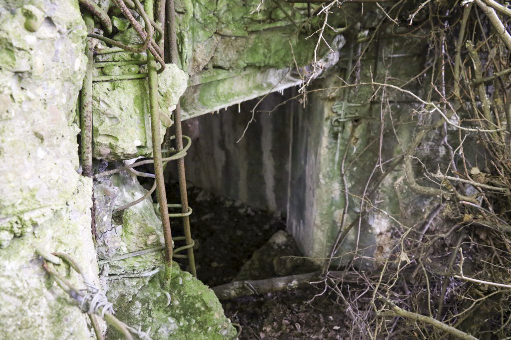 Ligne Maginot - CB431 - KLOSTERBUSCH 3 - (Blockhaus pour arme infanterie) -  - Alain Perouffe