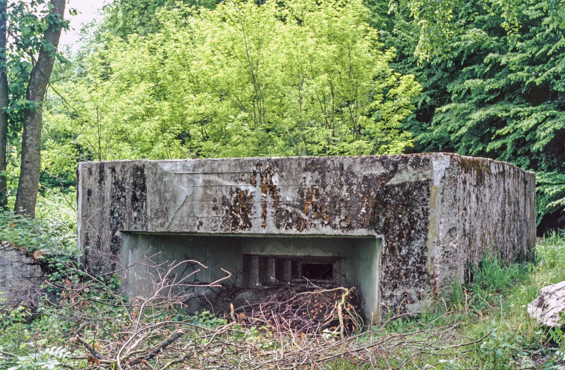 Ligne Maginot - M101B - BOIS DE GUESSLING - (Blockhaus pour arme infanterie) -  - MANSUY Michel
