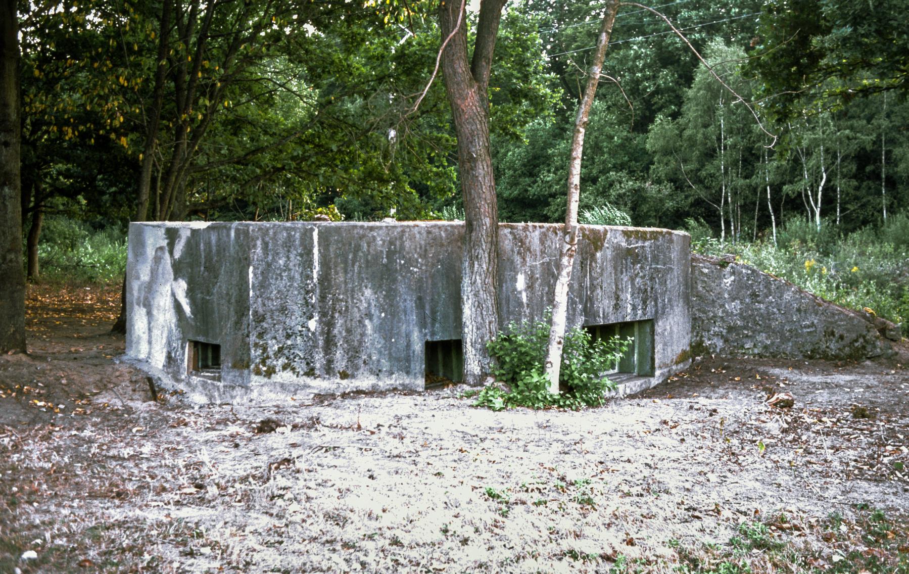 Ligne Maginot - ROUTE DE CARLING  (AVANT POSTE) - (Blockhaus pour arme infanterie) -  - MANSUY Michel