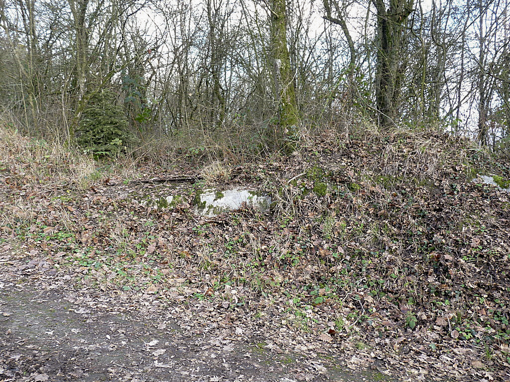 Ligne Maginot - 20T - (Chambre de coupure) -  - Sylvie-Laure LAMBERT