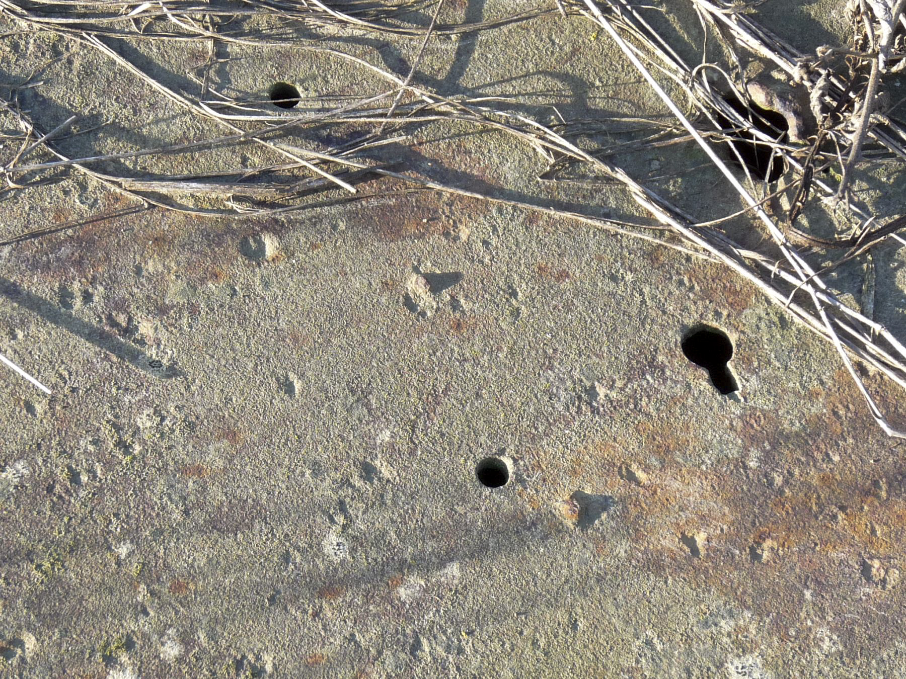 Ligne Maginot - 24T - (Chambre de coupure) - 