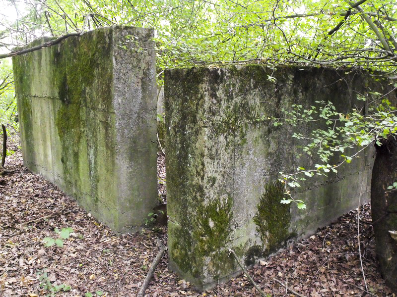 Ligne Maginot - BASSE-YUTZ - KUNTZIG (5°BIE/2/372°RALVF) - (Position ALVF) - Dépôt de munitions - Tom Combal