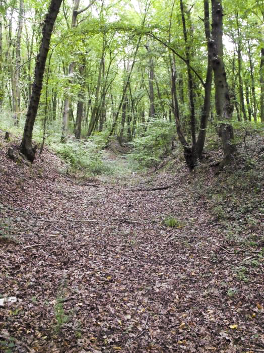 Ligne Maginot - BASSE-YUTZ - KUNTZIG (5°BIE/2/372°RALVF) - (Position ALVF) - Vue d'un épi - Tom Combal