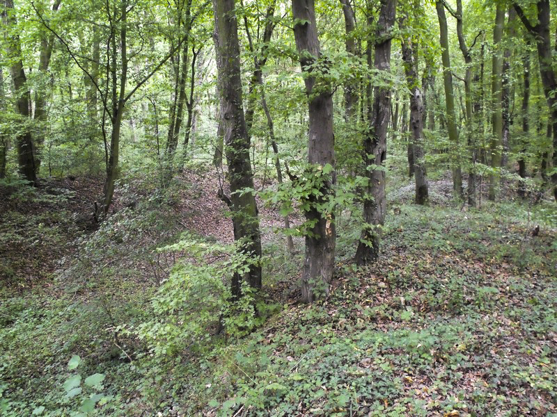 Ligne Maginot - BASSE-YUTZ - KUNTZIG (5°BIE/2/372°RALVF) - (Position ALVF) - Vue des restes d'épi - Tom Combal