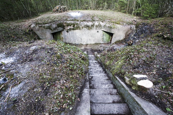 Ligne Maginot - Central d'observation du Bichel - Le Central au printemps 2010
Après plusieurs journées de travail, le Central est à nouveau visible - Arnault JL