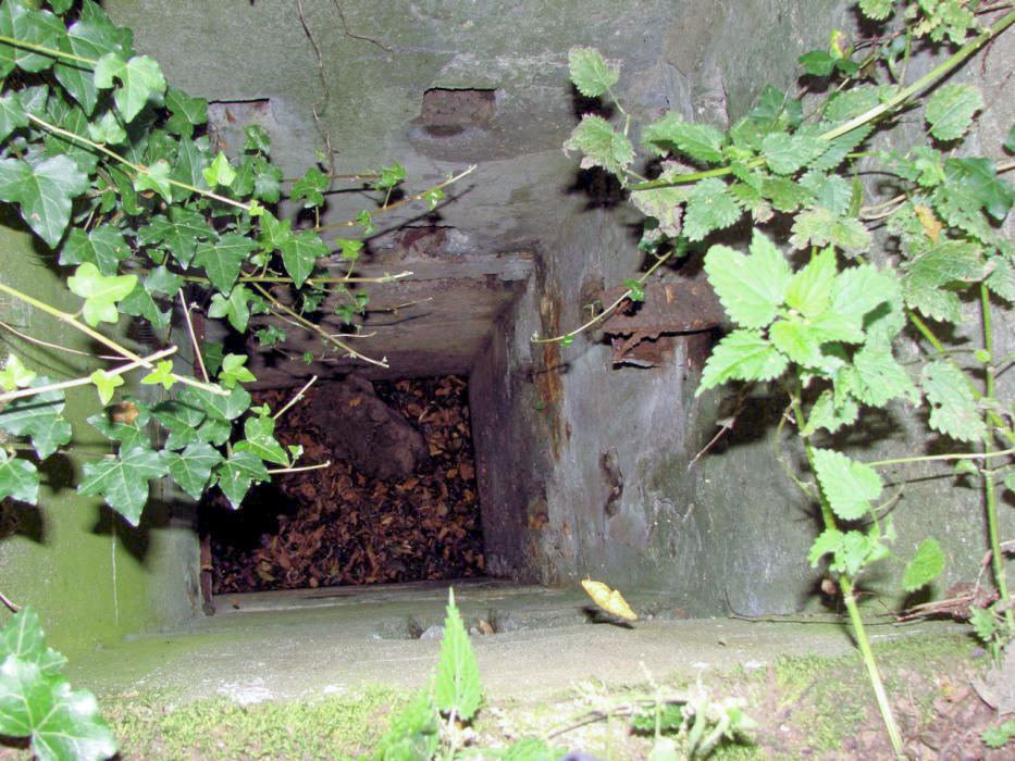 Ligne Maginot - CB2-D - (Observatoire indéterminé) - Premier poste d'observation.