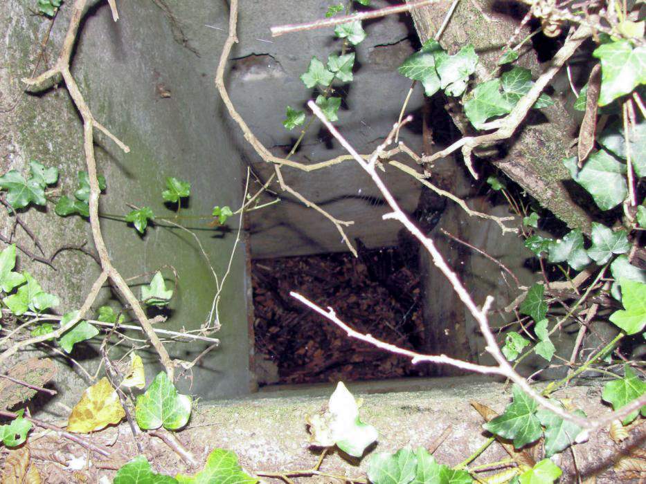 Ligne Maginot - CB2-D - (Observatoire indéterminé) - Second poste d'observation.