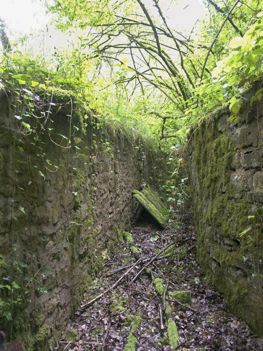 Ligne Maginot - CB3 - (Blockhaus pour canon) - La porte du blockhaus est visible