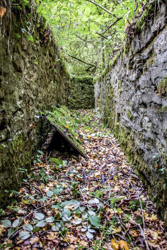 Ligne Maginot - CB3 - (Blockhaus pour canon) - Boyau d’accès maçonné en excellent état.
Au sol contre le muret, la porte du bloc 