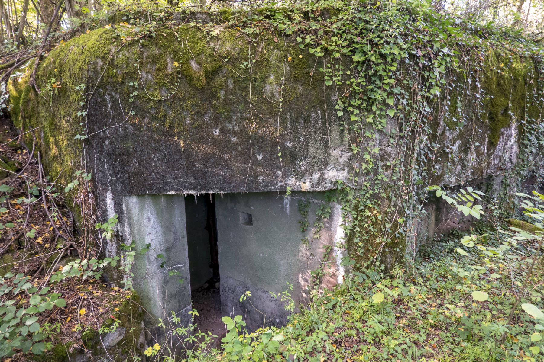 Ligne Maginot - CB3 - (Blockhaus pour canon) - Entrée du blockhaus - Michel Teiten