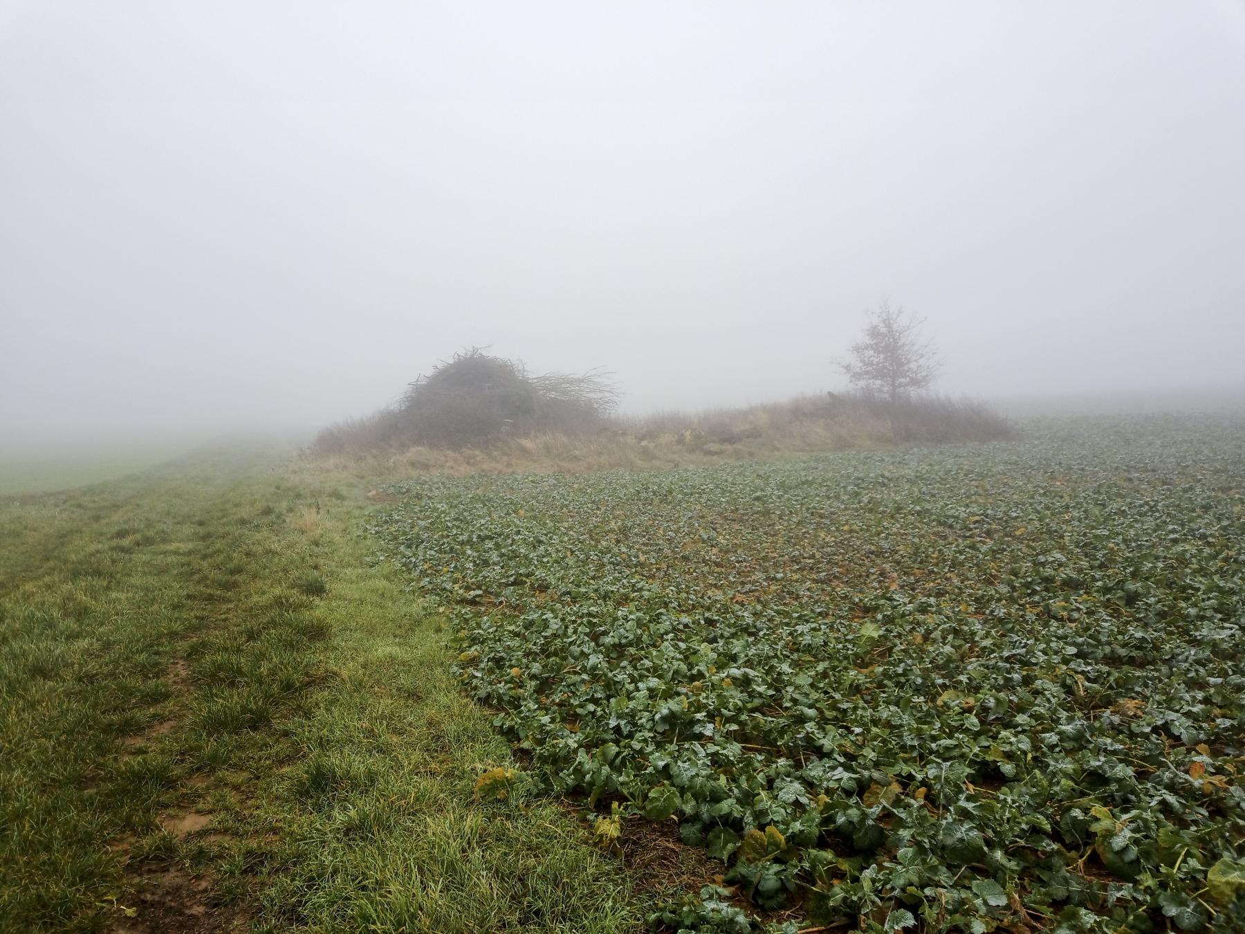 Ligne Maginot - 8L - (Chambre de coupure) -  - Marc Fossoul