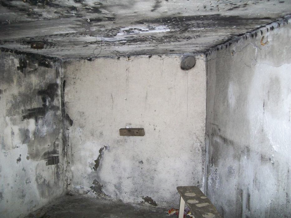 Ligne Maginot - CB5 - MEHWINKEL - (Blockhaus pour canon) -  - FRED KOLSCH