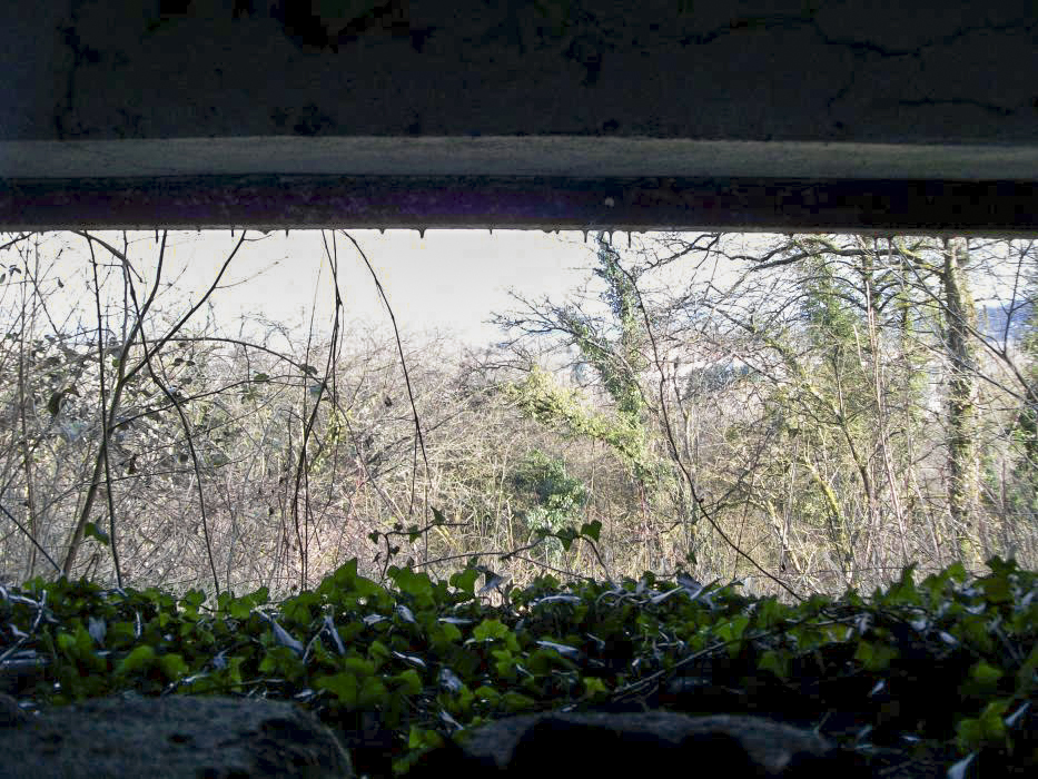 Ligne Maginot - CB5 - MEHWINKEL - (Blockhaus pour canon) -  - FRED KOLSCH