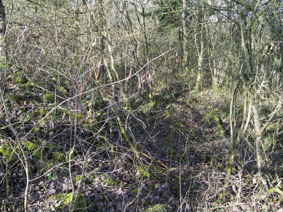 Ligne Maginot - CB5 - MEHWINKEL - (Blockhaus pour canon) - Les vestiges de la tranchée d'accès du blockhaus
