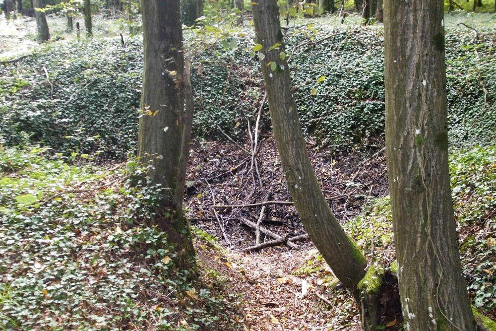 Ligne Maginot - CB104 - RAFERT - (Blockhaus pour canon) - Blockhaus, tranchées, abri