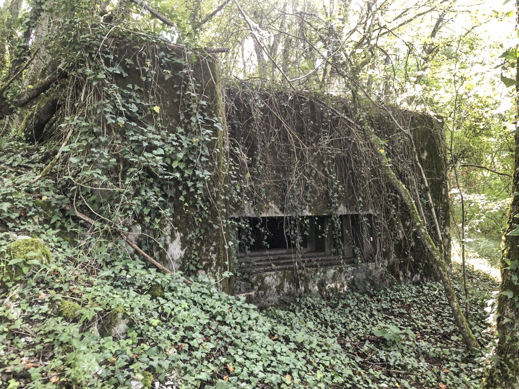 Ligne Maginot - CB114 - UBER DEM HUGEL - (Blockhaus pour canon) - 